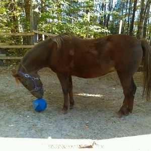 Meet your Posher, Vicki